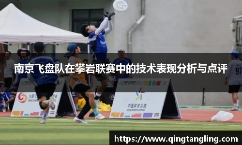 南京飞盘队在攀岩联赛中的技术表现分析与点评